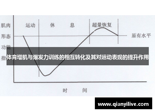体育增肌与爆发力训练的相互转化及其对运动表现的提升作用