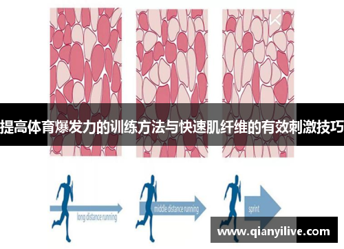 提高体育爆发力的训练方法与快速肌纤维的有效刺激技巧